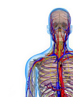 Vascular Thoracic Outlet Syndrome - Sports Medicine Review